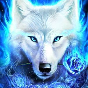 Meet your Posher, Bill